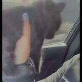 faded puzzled gleaming